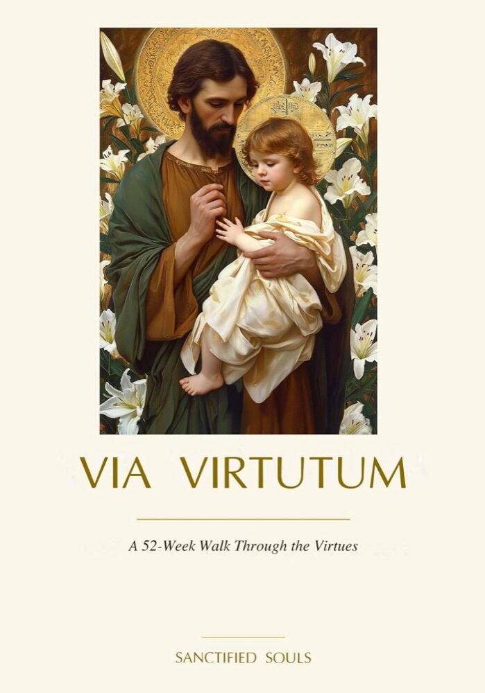 Via Virtutum